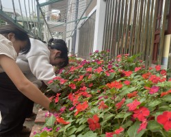 HOẠT ĐỘNG VUI CHƠI GIỮA GIỜ – NHỮNG KHOẢNH KHẮC TUỔI THƠ TƯƠI ĐẸP DƯỚI MÁI TRƯ ỜNG